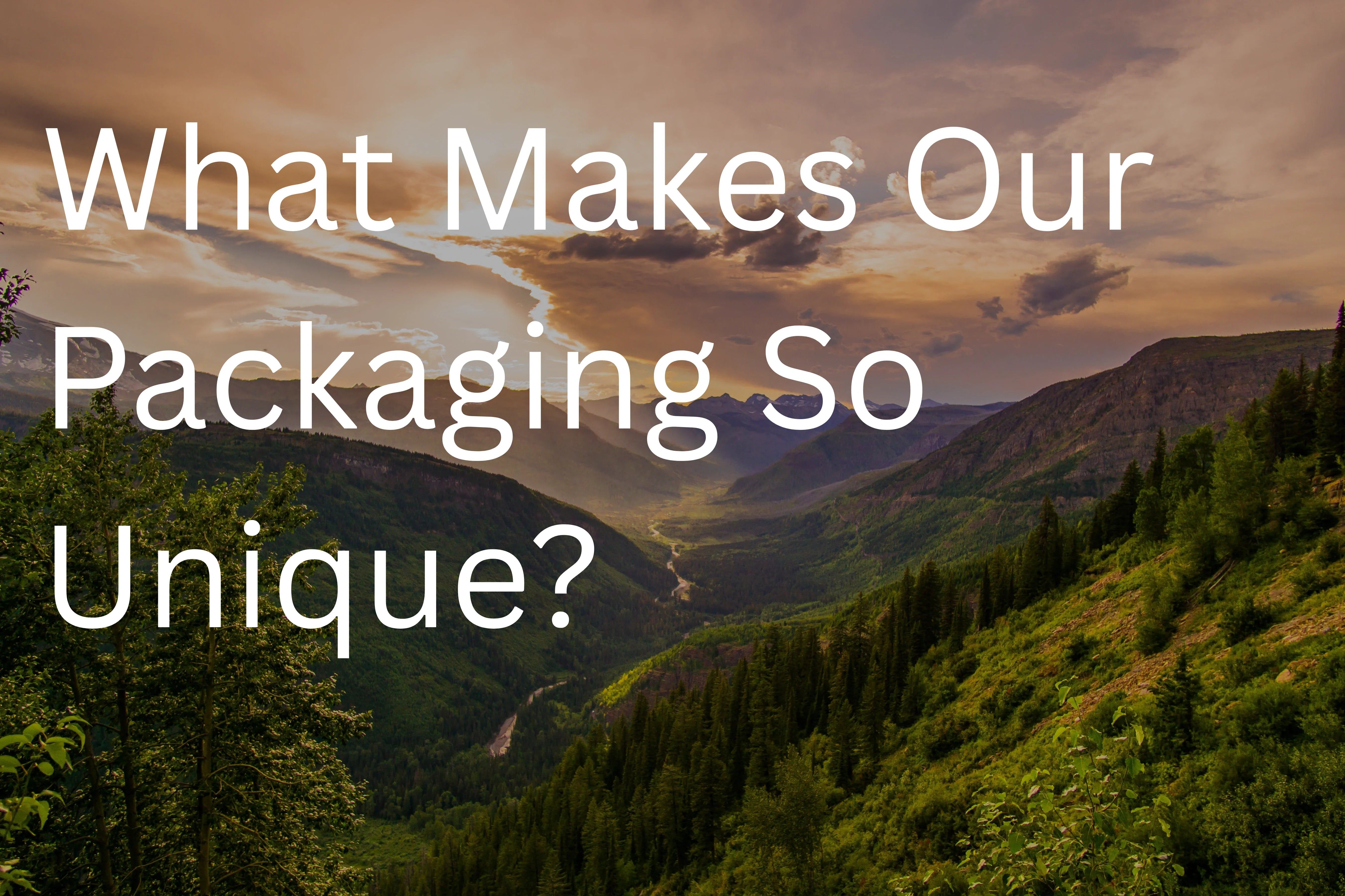 What makes our packaging so unique text in white over a background of an image featuring a hilly landscape with trees and a sunset.
