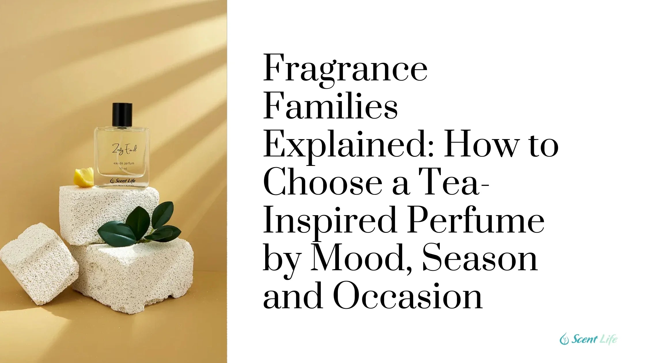 Fragrance Families Explained: How to Choose a Tea-Inspired Perfume by Mood, Season and Occasion